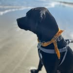 Oswald Smith - @ozzies._.world - Instagram