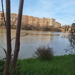 oswald Smith - @oswaldsmith314 - Instagram