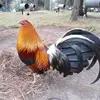 Oswaldo Barajas - @oswaldobarajas4 - TikTok