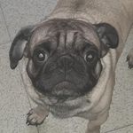 Oswaldo-Cabrera - @oswal25_ - Instagram