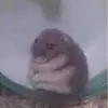 Oswaldo Sanchez - @oswaldosanchez932 - TikTok
