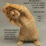 Oswaldo Serrano - @oswaldo.serrano.982 - Instagram