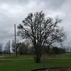 oswaldoserrano392 - @oswaldoserrano392 - TikTok