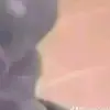 Otha Barber - @otha.barber2 - TikTok