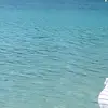 othajackson823 - @othajackson823 - TikTok
