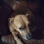Otha Smith - @othasmith379 - Instagram
