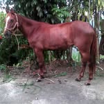Otilio Jose Diaz Cisneros - @otilio_diaz - Instagram