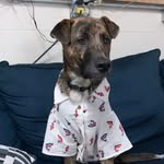 @otis_abbott23 - Instagram