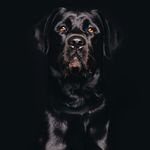 Black Magic - @_otis_adams_ - Instagram