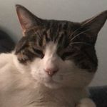 Otis Anthony Gopaul - @otisthe_best - Instagram