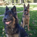 Iris, Mr.Archer & Otis - @happy_iris_mr._archer_and_otis - Instagram