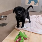 Bailey Otis - @otis.bailey_ - Instagram