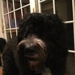 Otis Bailey Polsky - @mjpolsky - Instagram