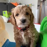 OTIS - @otisbaileyoffical - Instagram