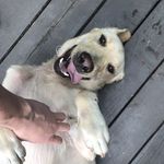 Otis Barber - @otis_barber - Instagram