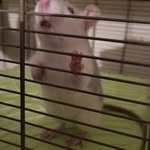 Otis Berry - @bigoats199 - Instagram