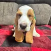 Otis Huckleberry - @otis.huckleberry - TikTok
