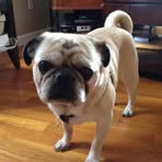 Otis Bowden - Facebook