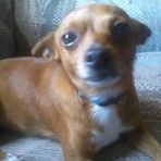 Otis Browning - Facebook