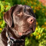 Sir Otis Browning - @utterly_otis - Instagram