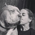 Ornery Otis Carter - @otis_the_platinum_merle - Instagram