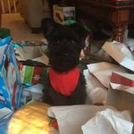 Otis Cherry - @otis.cherry - Instagram