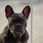 Otis Miles Cobb - @iamotismiles - Instagram