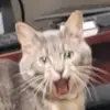 Kerina and Oot - @ootiscookin - TikTok