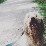 Otis Cook - @otis.cook_45 - Instagram