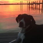 Otis Cook - @cookotis - Instagram