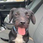 oti oti oti - @otis.cooper.west - Instagram