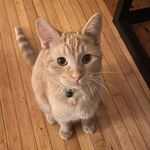 Otis Cooper - @otiscooper - Instagram