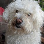 Otis Cooper - @otis_toby_cooper - Instagram