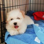 Otis Cooper - @otis_cotton - Instagram