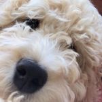 Otis Cooper Jeffrey Frick - @otis_frick - Instagram