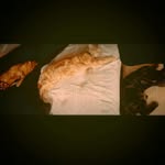 ☆Curry☆Otis☆ - @curry_otis_mjaou - Instagram