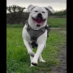 Dale Otis Hamilton - @daleotishamilton - Instagram
