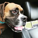 Otis•Daniel - @mr_otis_daniel - Instagram