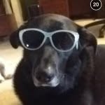 Otis Day - @otis.day - Instagram