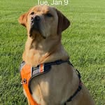 Otis Day - @otis_my_man_2019 - Instagram