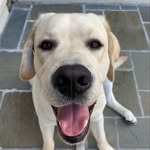 Otis Day - @otisdaythelab - Instagram