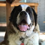Otis Day McLovin - @otisdaymclovin - Instagram