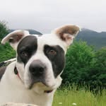 Otis of the Day - @otisotd - Instagram