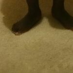 otisdickerson - @otiscdickerson - Instagram