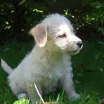 Otis Dobbs - Facebook