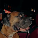 Otis Duffy - @otisduffy - Instagram