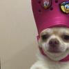duke.otis - @duke.otis - TikTok