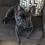 Otis Duke La Medica - @otis_duke_la_medica - Instagram