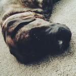 otis_duke.spamzz - @otis_duke.spamzz - Instagram