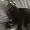 otis.veenstra - @otisidunno - TikTok